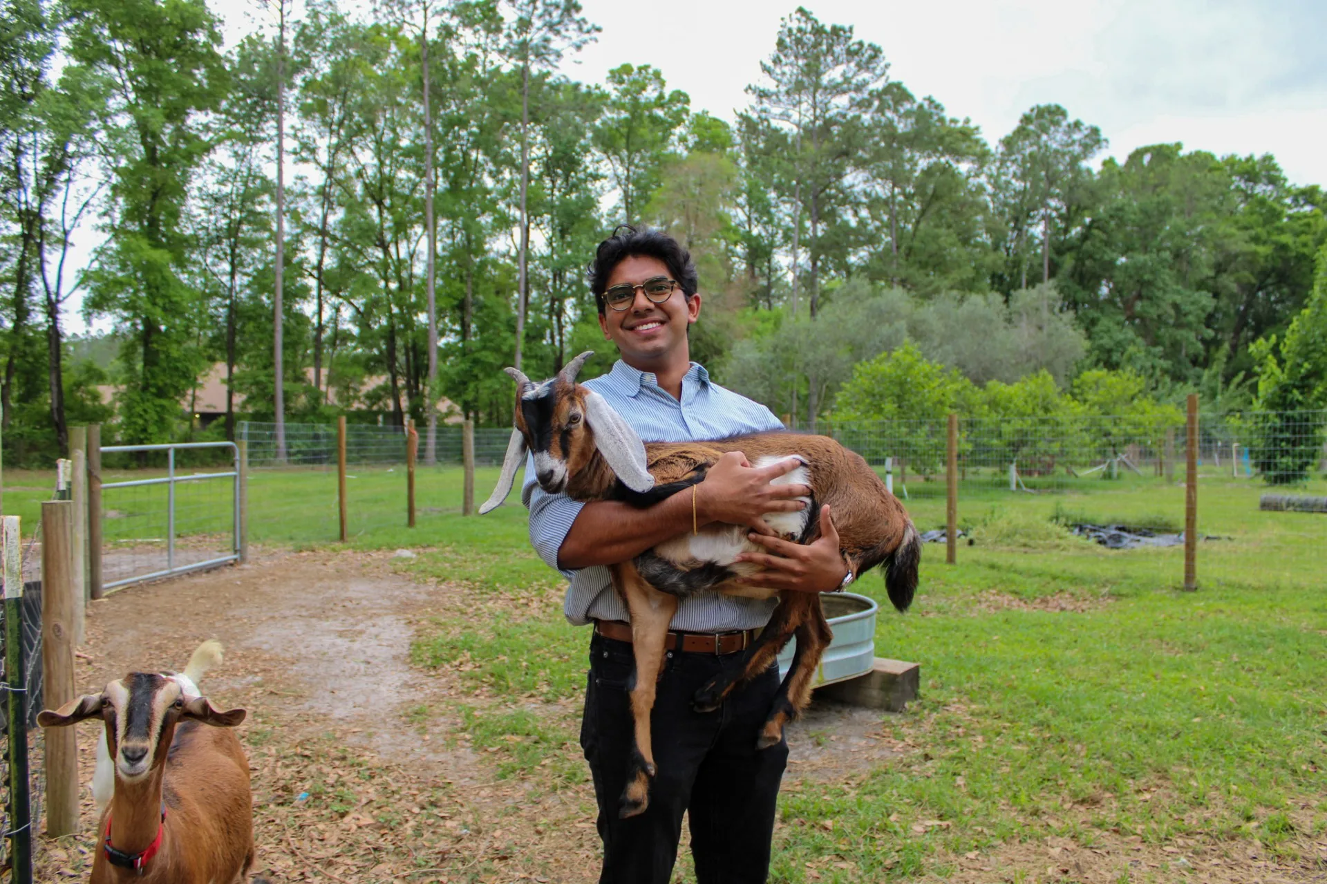 Meet Allen Kurian, a man with a plan – and a few goats